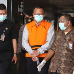 Indonesia tạm dừng xuất khẩu tôm hùm giống sau khi Bộ trưởng bị bắt